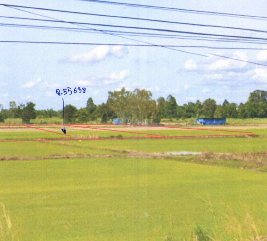 Residential land/lot Phitsanulok Bang Rakam Bang Rakam 234000