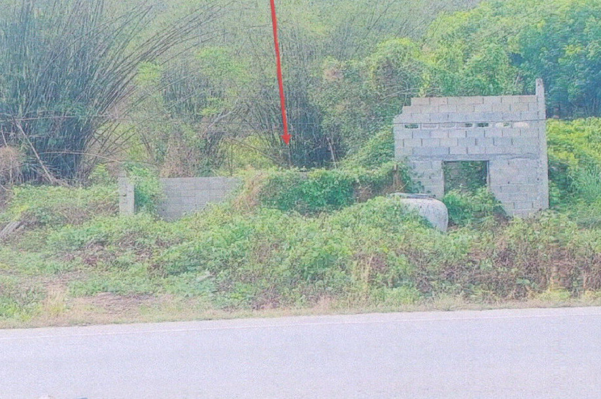 Residential land/lot Chiang Rai Phan Mae O 177190