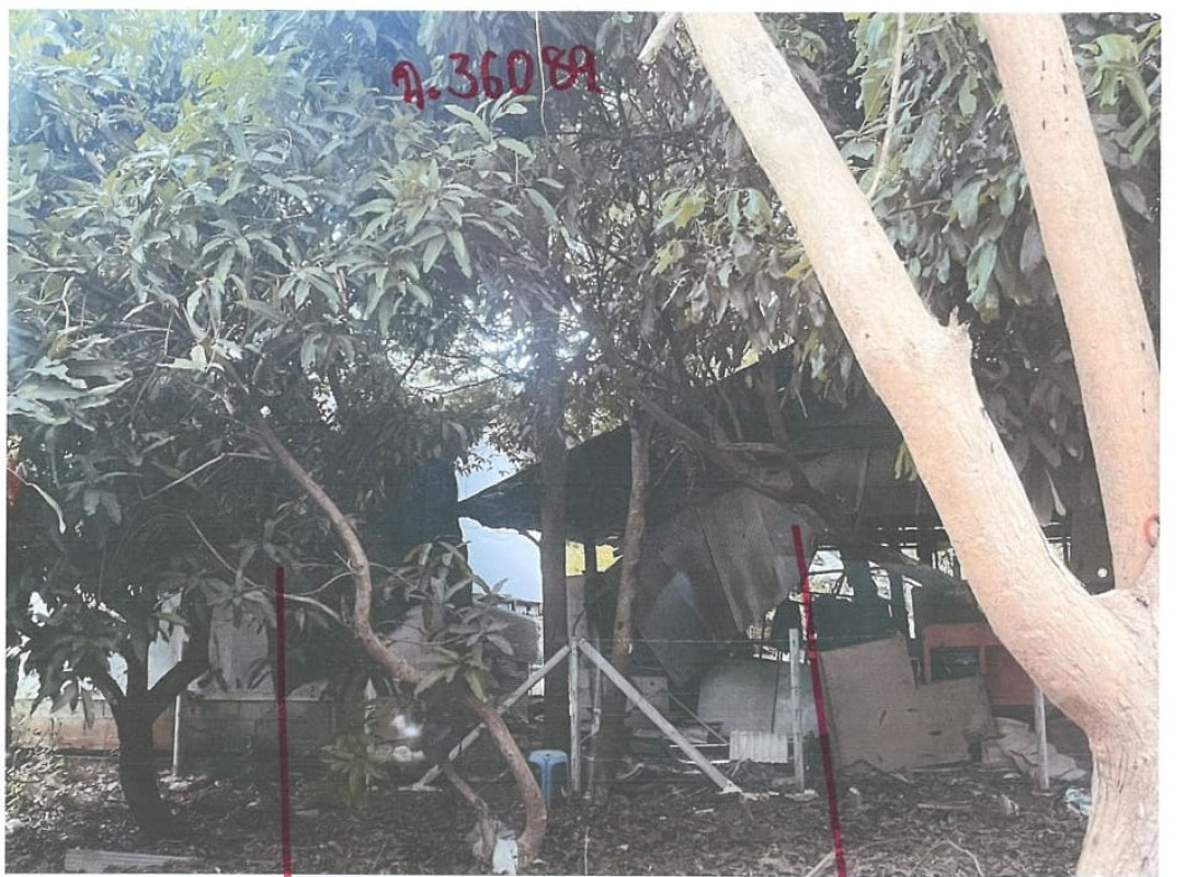 Single house Chiang Mai San Kamphaeng Huai Sai 448955