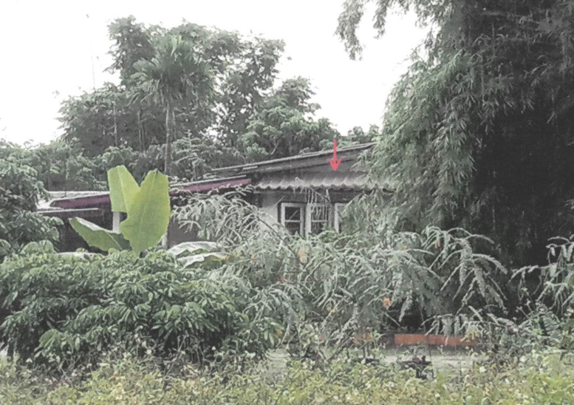 บ้านเดี่ยว เชียงราย ป่าแดด ป่าแงะ 914870
