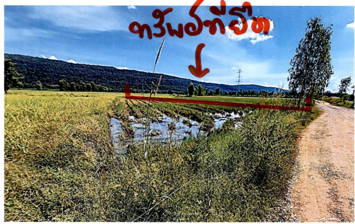 ที่ดินเปล่า พิษณุโลก พรหมพิราม ทับยายเชียง 206000