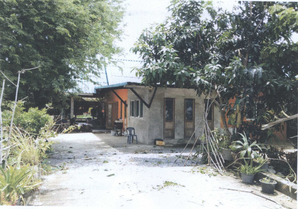 บ้านเดี่ยว นครปฐม สามพราน ไร่ขิง 584780