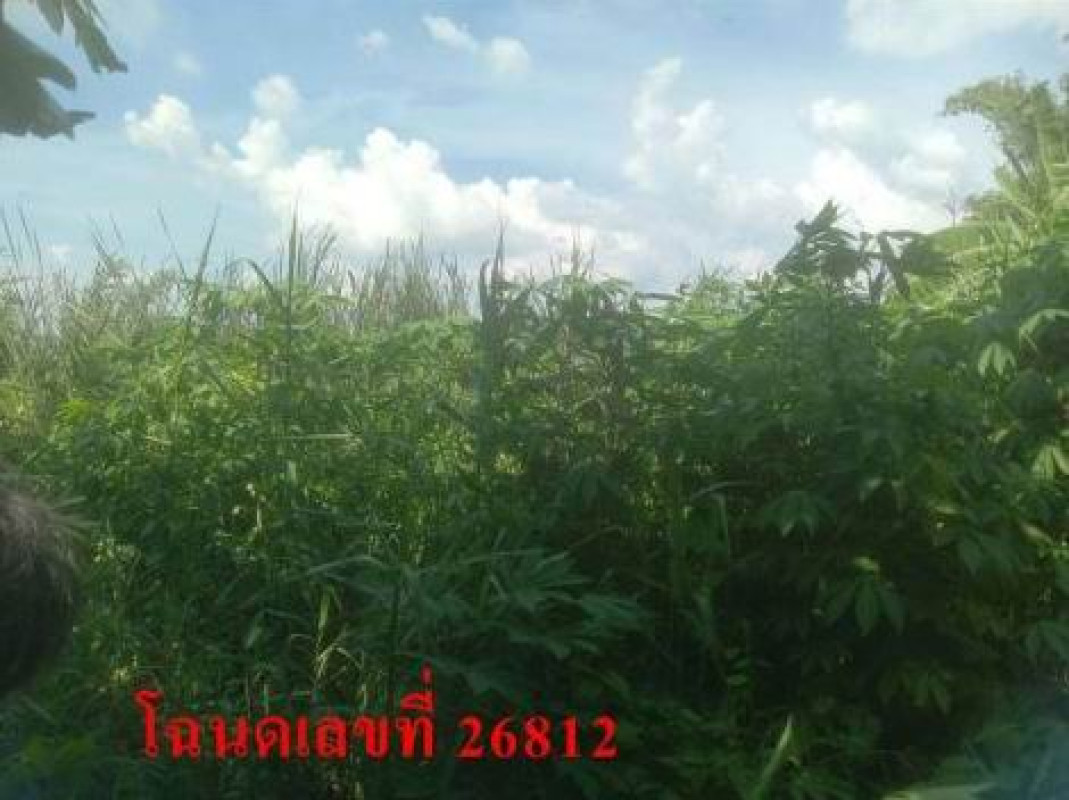 ที่ดินเปล่า กรุงเทพมหานคร ลาดพร้าว จรเข้บัว 182000