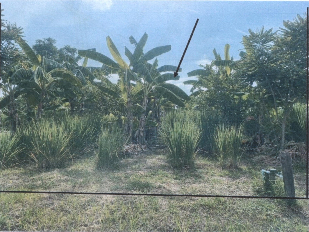 Residential land/lot Phitsanulok Bang Rakam Chum Saeng Songkhram 40000