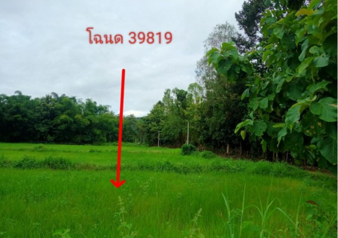 ที่ดินเปล่า พิษณุโลก นครไทย บ้านพร้าว 960000