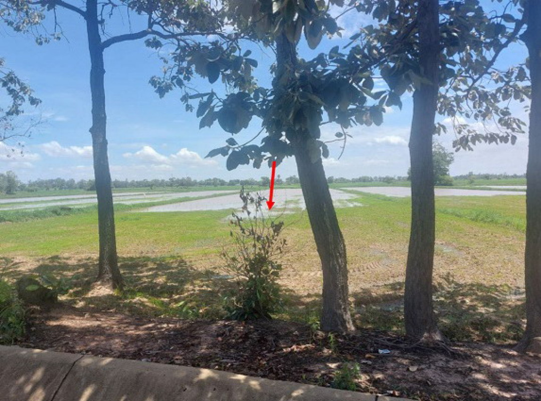 Residential land/lot Si Sa Ket Kanthararom Bua Noi 133800