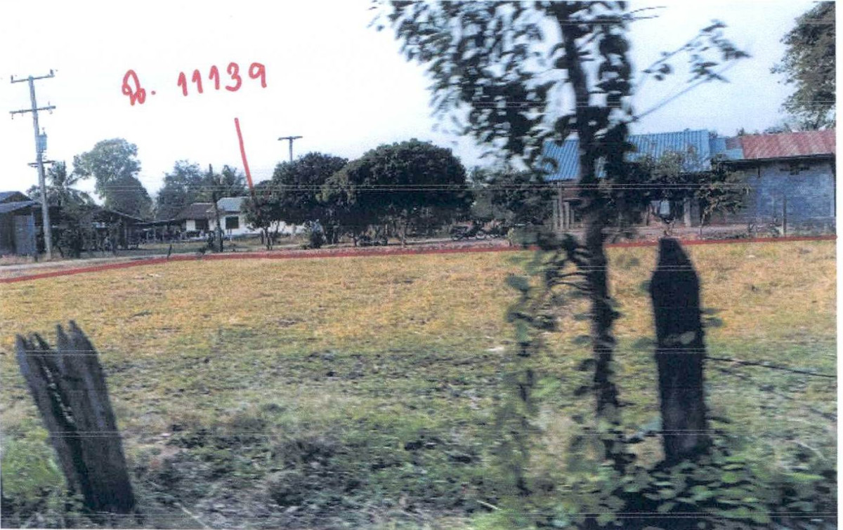 ที่ดินเปล่า บุรีรัมย์ หนองกี่ เมืองไผ่ 203500