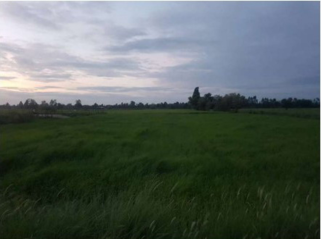 ที่ดินเปล่า ขอนแก่น หนองสองห้อง ดงเค็ง 292500
