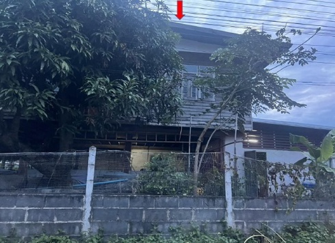 บ้านเดี่ยว ขอนแก่น พล โสกนกเต็น 385000