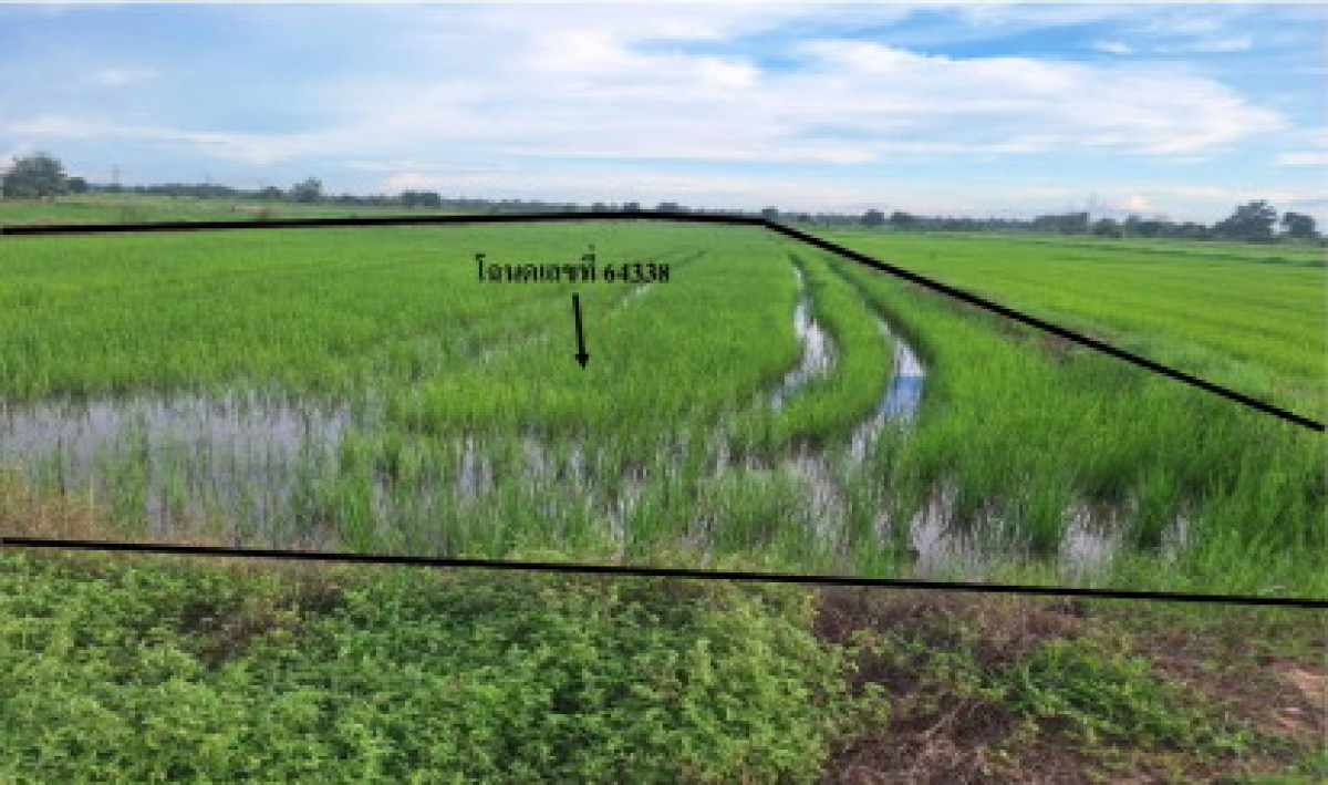 ที่ดินเปล่า พิษณุโลก พรหมพิราม ตลุกเทียม 400000