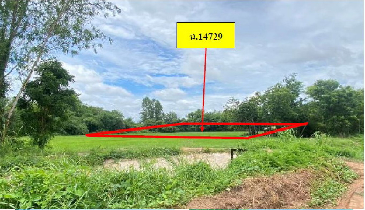 ที่ดินเปล่า พิจิตร เมืองพิจิตร โรงช้าง 348720