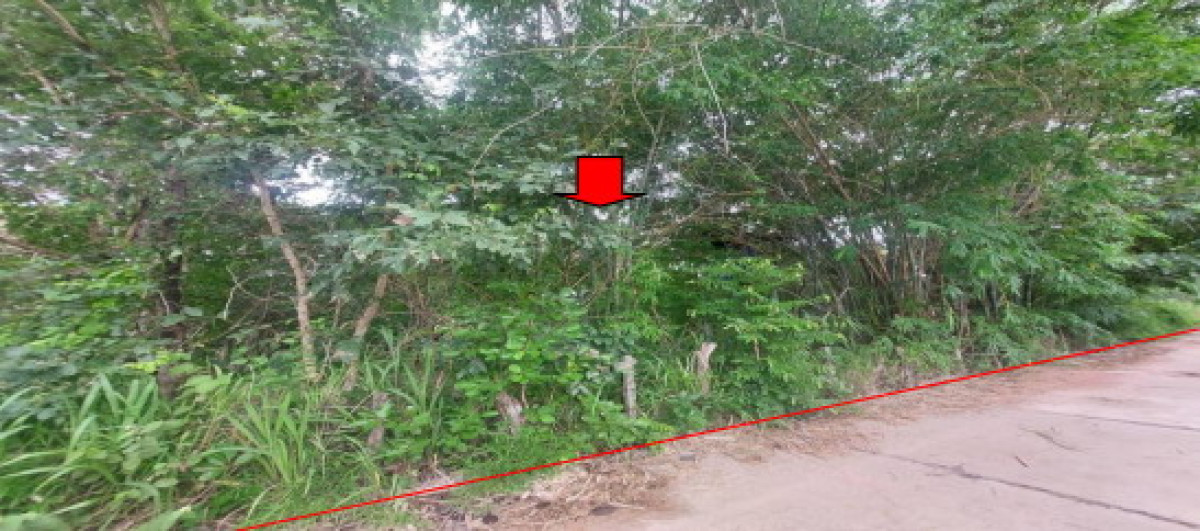 ที่ดินเปล่า มหาสารคาม วาปีปทุม บ้านหวาย 135740