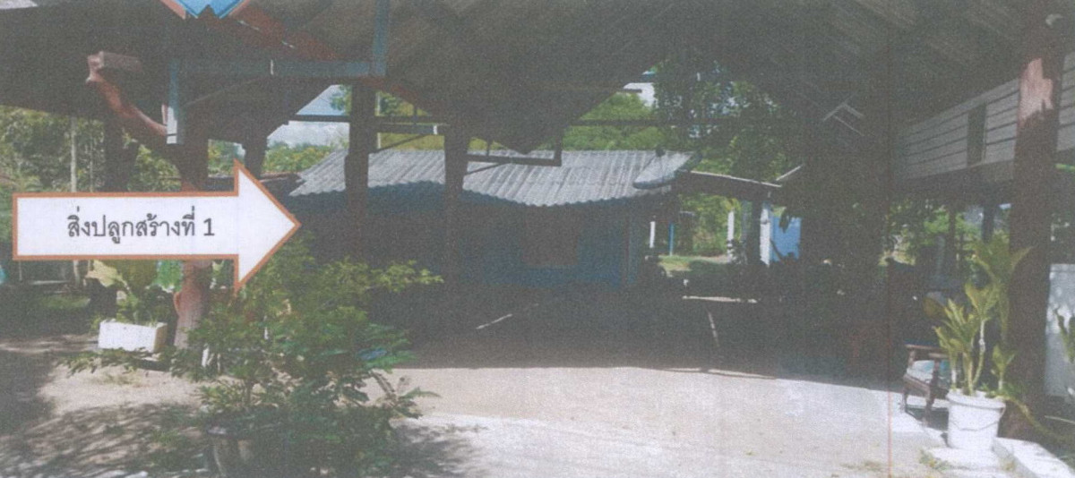 บ้านเดี่ยว มหาสารคาม เชียงยืน กู่ทอง 381572