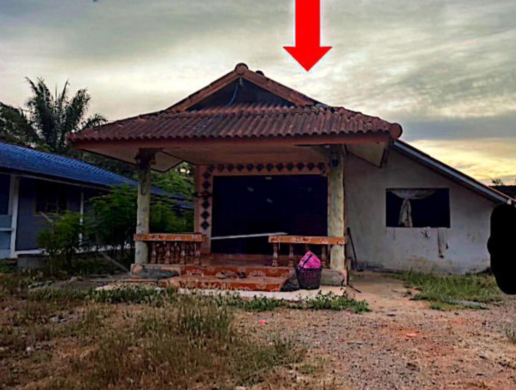 บ้านเดี่ยว สุราษฎร์ธานี ท่าฉาง คลองไทร 831713