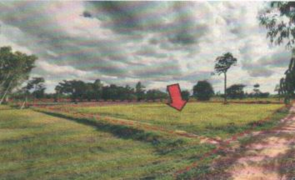 Residential land/lot Ubon Ratchathani Buntharik Nong Sano 574700