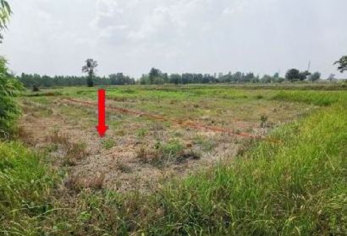 ที่ดินเปล่า ขอนแก่น บ้านแฮด โคกสำราญ 73500