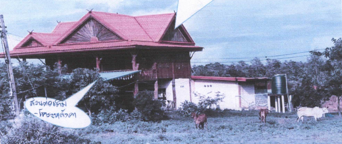 บ้านเดี่ยว มหาสารคาม บรบือ โนนแดง 2645620