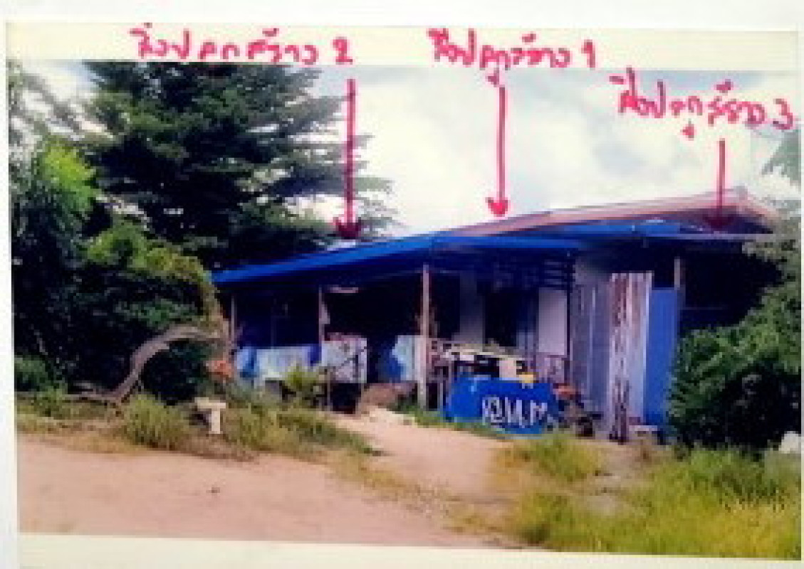 บ้านเดี่ยว พิษณุโลก วังทอง วังนกแอ่น 637669