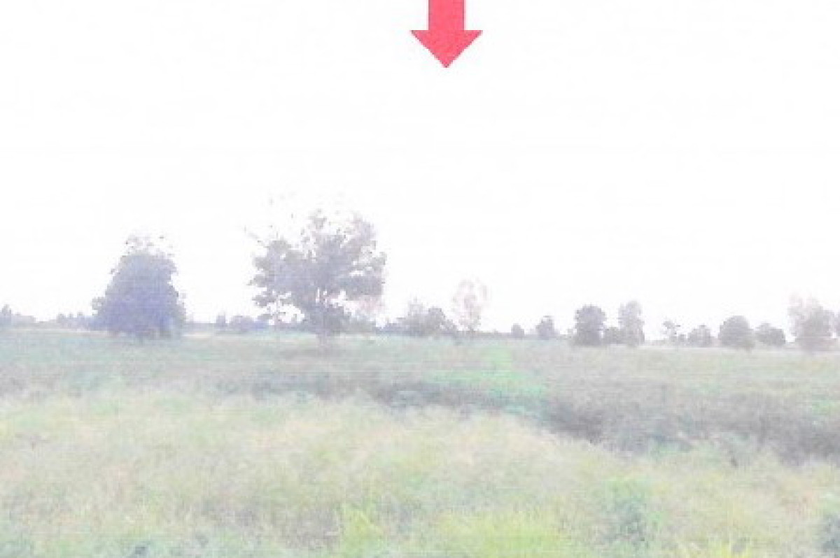 ที่ดินเปล่า อุดรธานี ศรีธาตุ นายูง 1007860