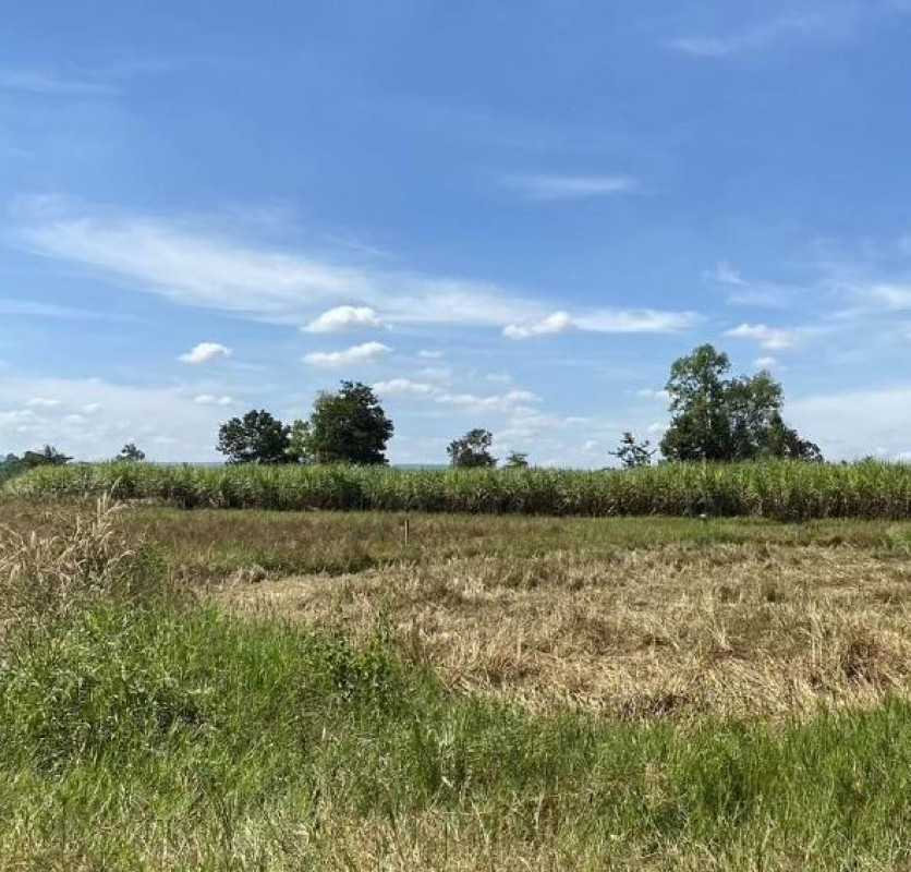ที่ดินเปล่า อุดรธานี กุดจับ กุดจับ 128100
