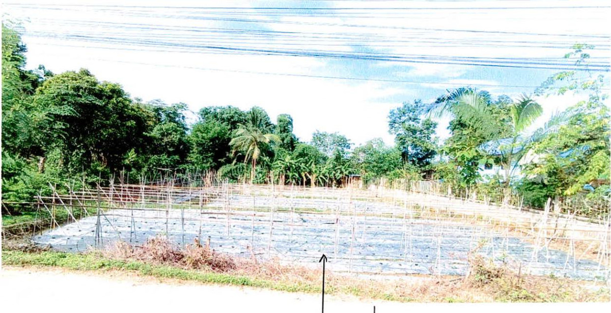 ที่ดินเปล่า น่าน สันติสุข พงษ์ 1469340