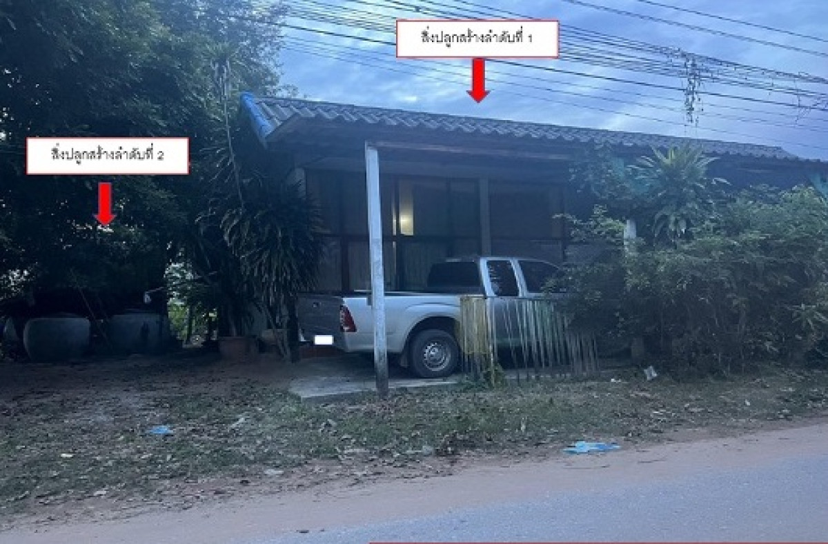 บ้านเดี่ยว ขอนแก่น พล โสกนกเต็น 492010