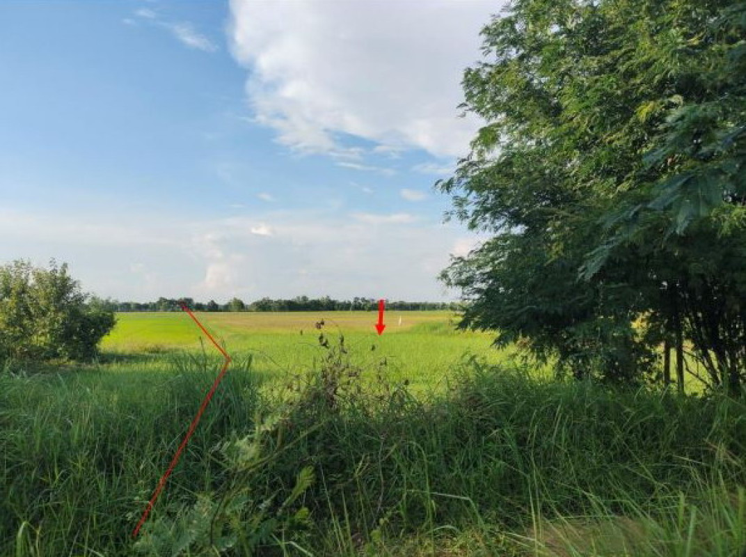 Residential land/lot Maha Sarakham Mueang Maha Sarakham Lat Phatthana 2000000