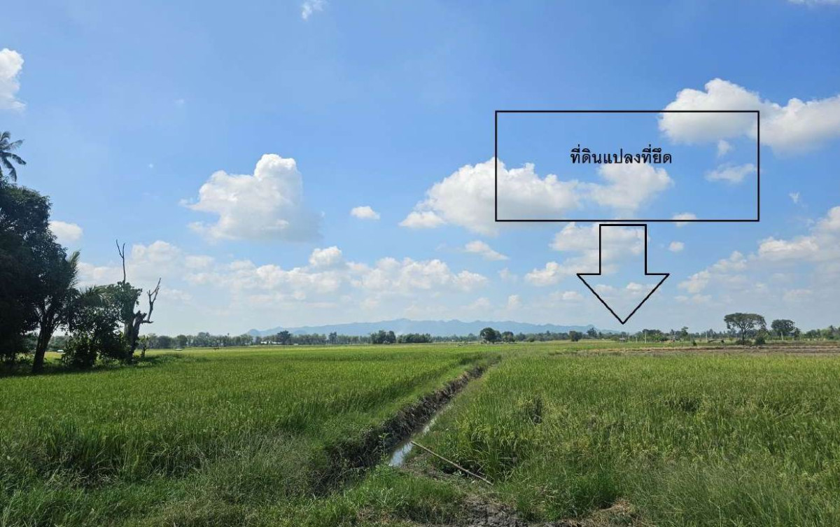 ที่ดินเปล่า อุทัยธานี หนองฉาง ทุ่งโพ 101530