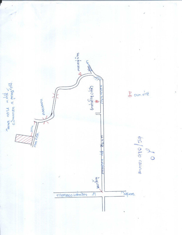 บ้านเดี่ยว สุราษฎร์ธานี บ้านนาสาร ท่าชี 1011580