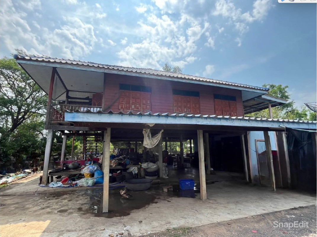 บ้านเดี่ยว พิจิตร บางมูลนาก เนินมะกอก 611205