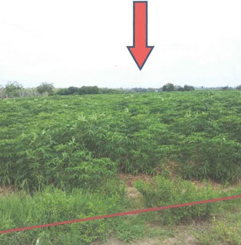 ที่ดินเปล่า อุดรธานี วังสามหมอ คำโคกสูง 590550