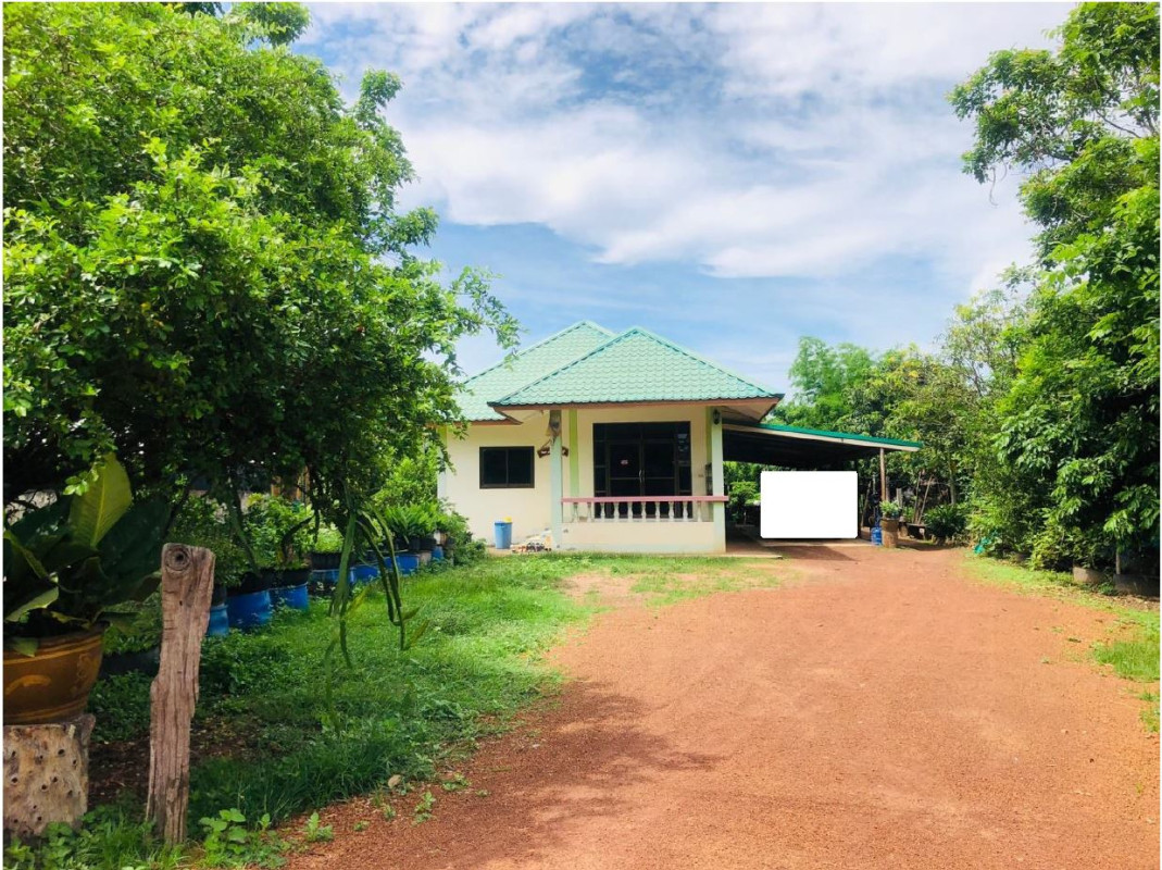 บ้านเดี่ยว อุดรธานี หนองหาน สะแบง 1027720