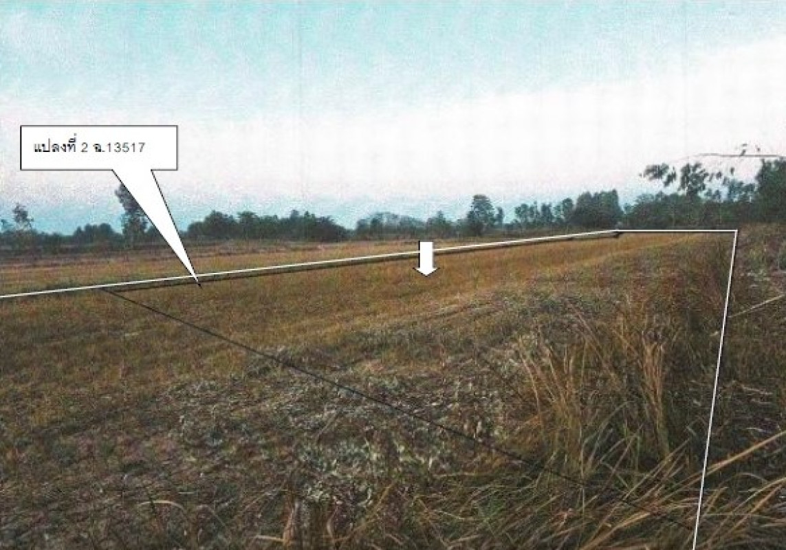 ที่ดินเปล่า กำแพงเพชร ขาณุวรลักษบุรี บ่อถ้ำ 656864