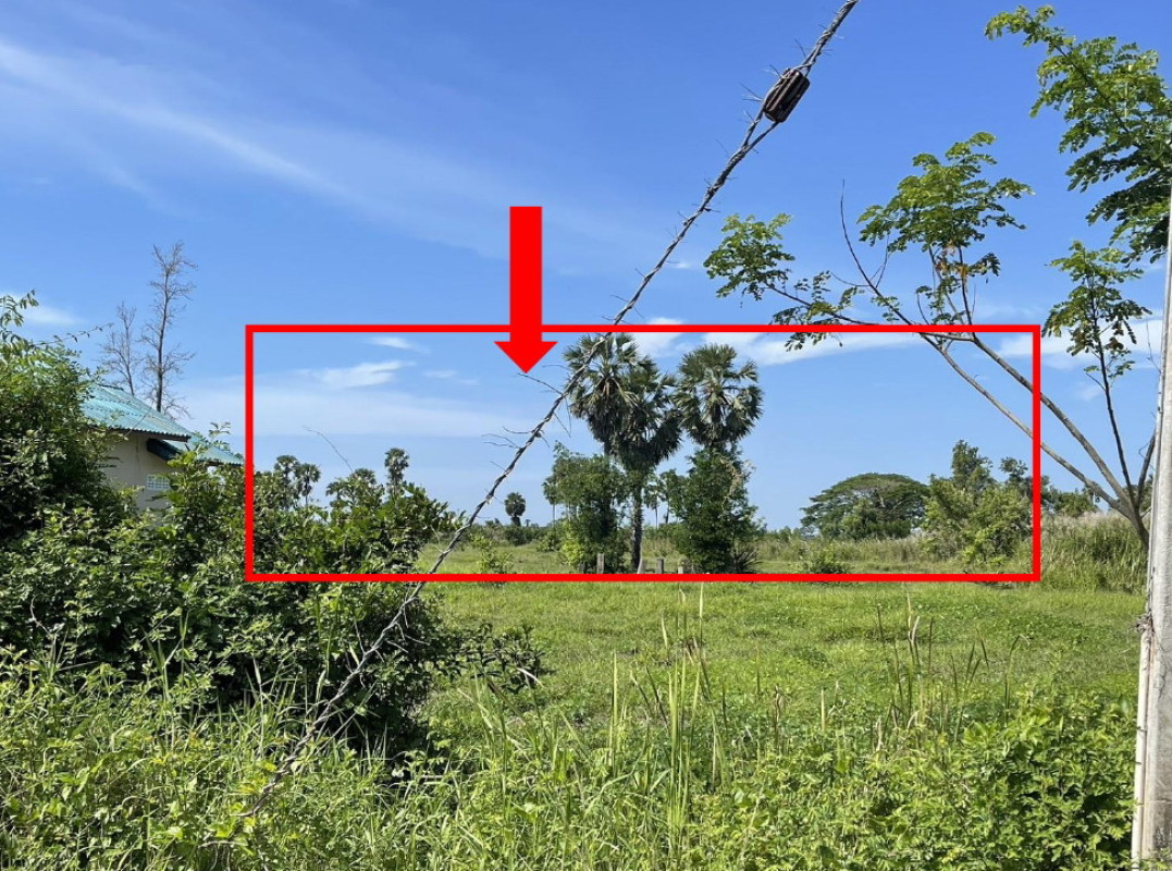 ที่ดินเปล่า นครศรีธรรมราช หัวไทร หัวไทร 385400