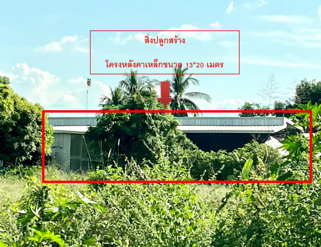 บ้านเดี่ยว มหาสารคาม เชียงยืน เชียงยืน 789000