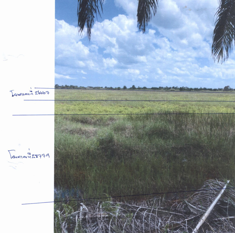 Residential land/lot Nakhon Si Thammarat Cha-uat Khreng 839700