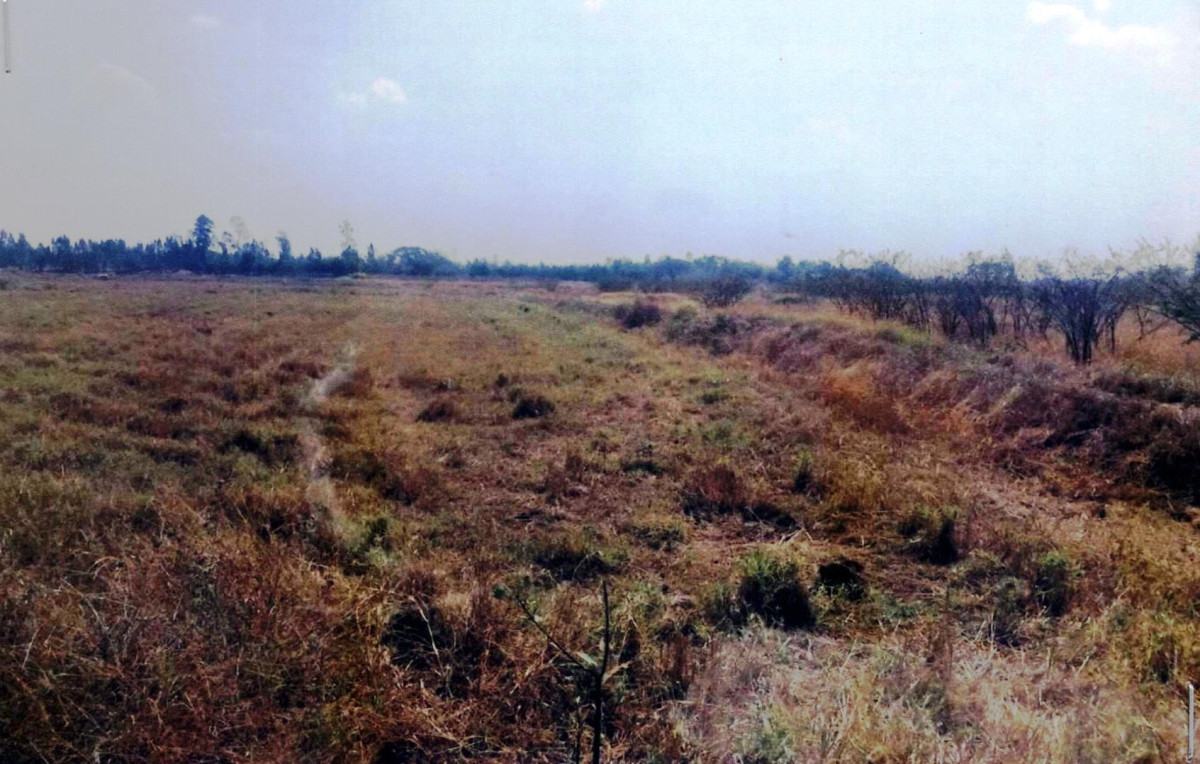 ที่ดินเปล่า ขอนแก่น บ้านไผ่ เมืองเพีย 756000