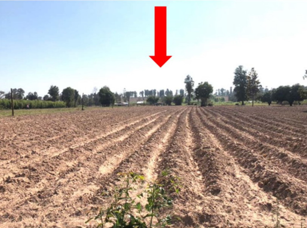 Residential land/lot Khon Kaen Ban Phai Ban Lan 185000