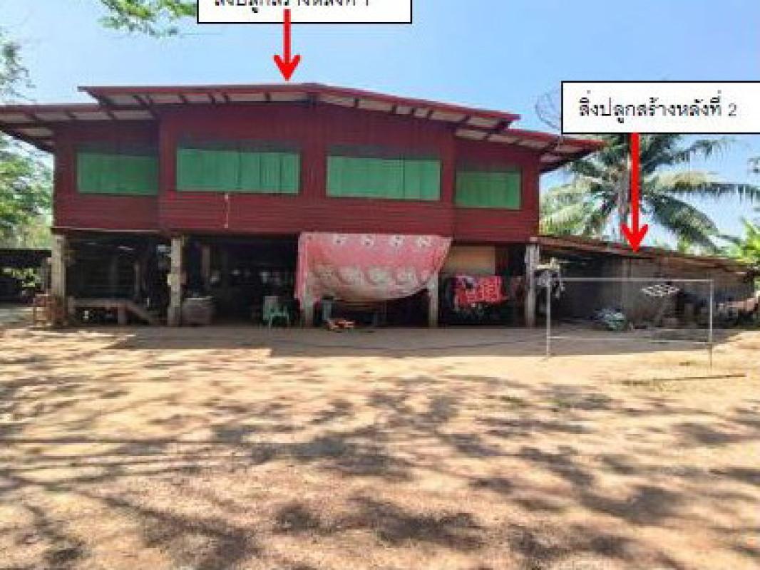 บ้านเดี่ยว พิษณุโลก พรหมพิราม หนองแขม 654960