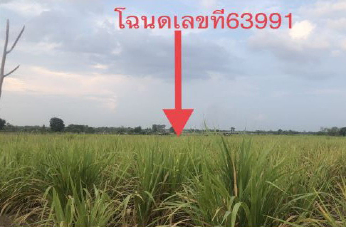 ที่ดินเปล่า อุดรธานี กุมภวาปี ปะโค 540000