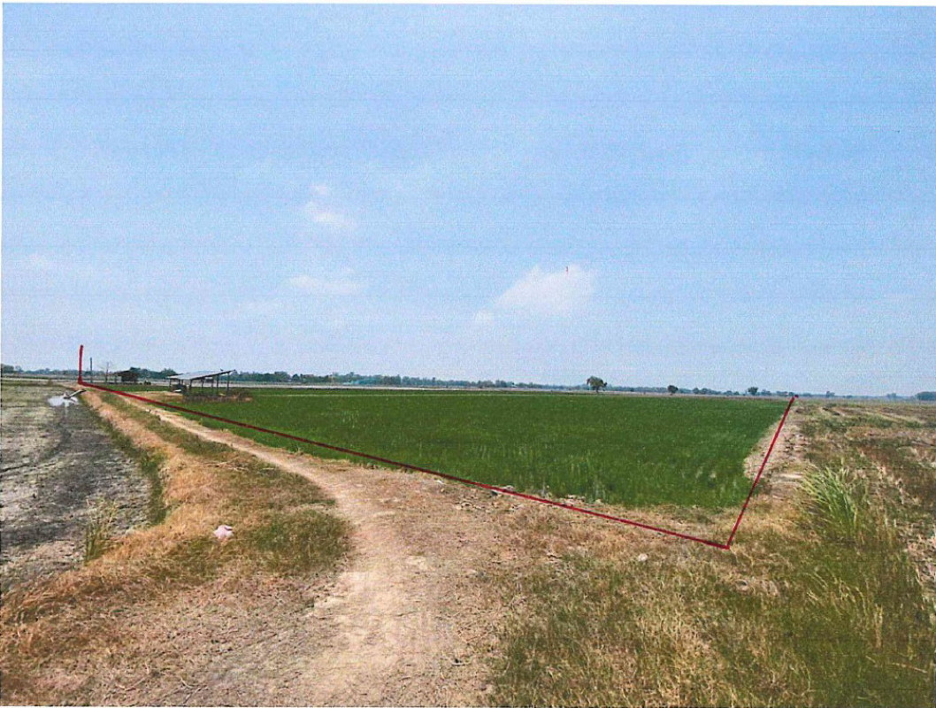 Residential land/lot Phichit Pho Prathap Chang Noen Sawang 1100700