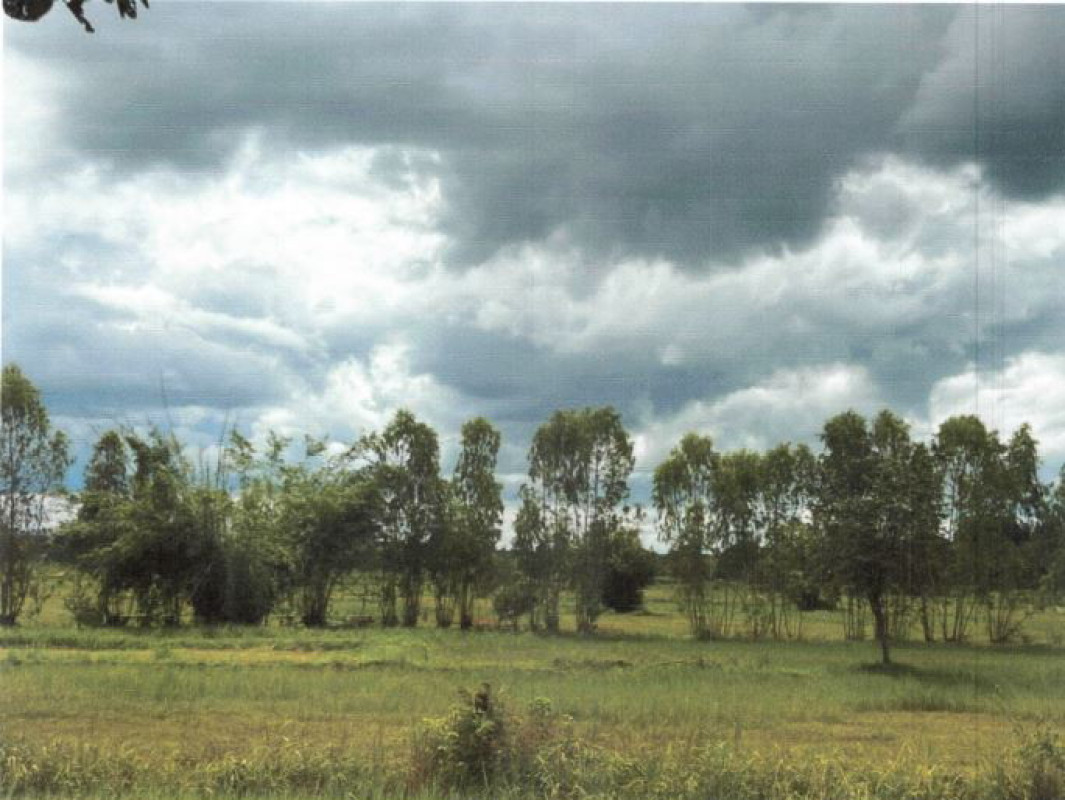 Residential land/lot Udon Thani Prachak-Sinlapakhom Huai Sam Phat 405675