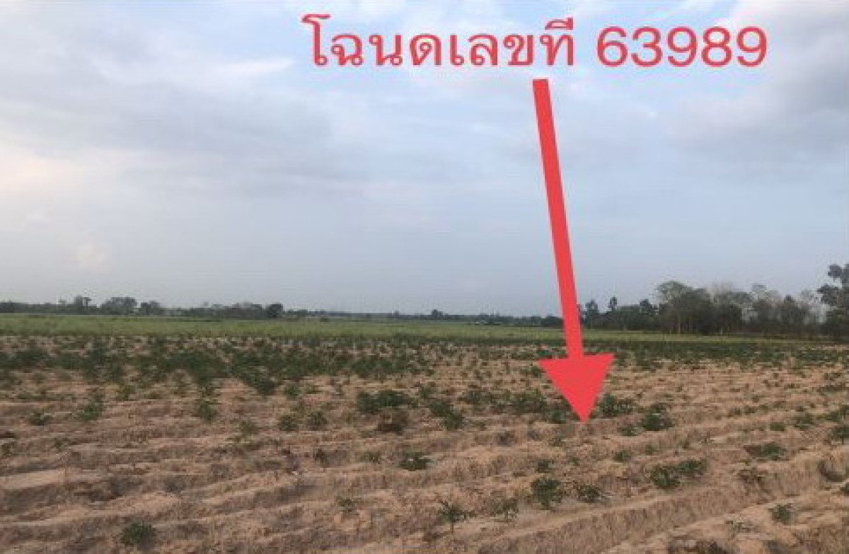 ที่ดินเปล่า อุดรธานี กุมภวาปี ปะโค 300000
