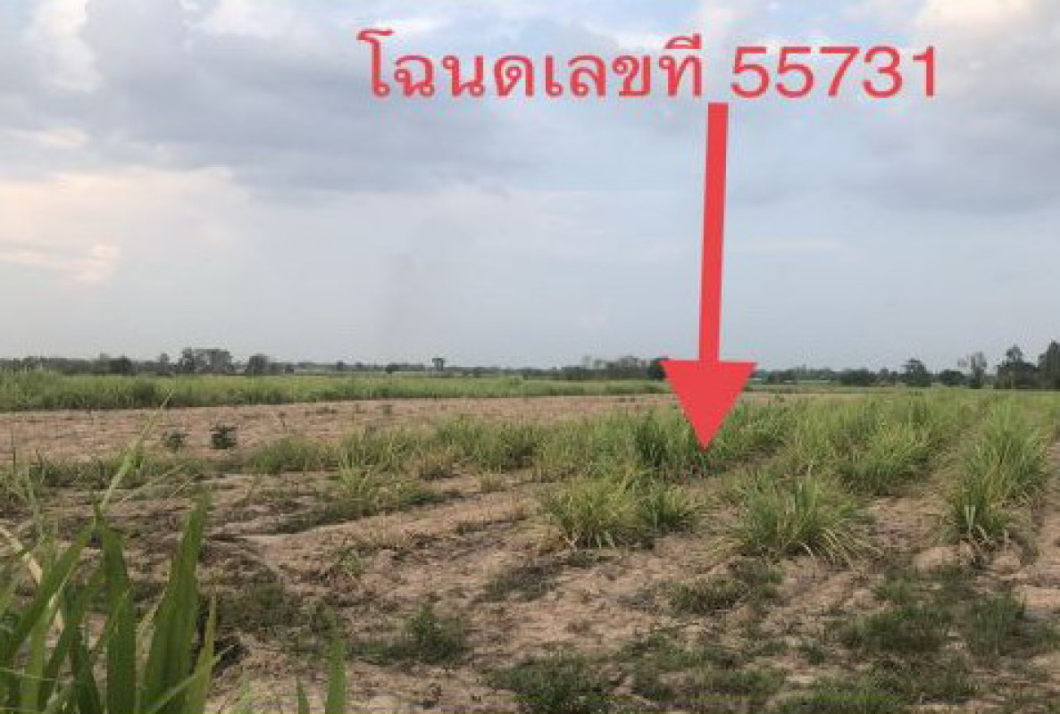 ที่ดินเปล่า อุดรธานี กุมภวาปี ปะโค 1144350