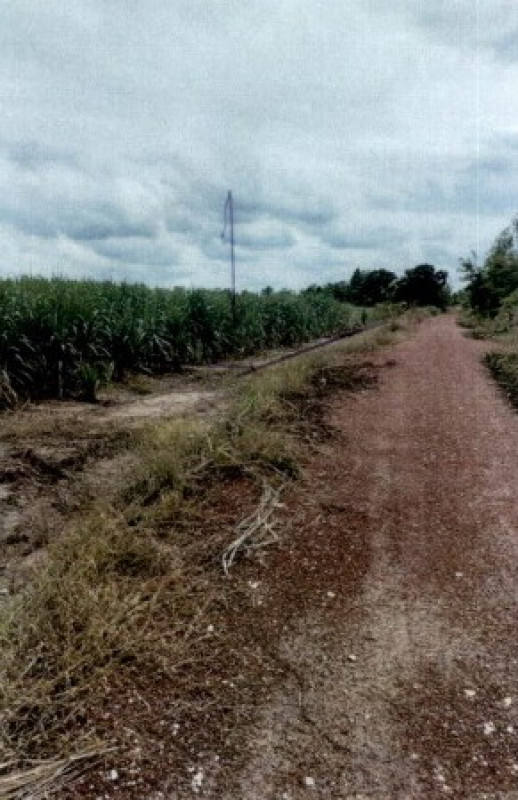 ที่ดินเปล่า กำแพงเพชร ลานกระบือ หนองหลวง 356813