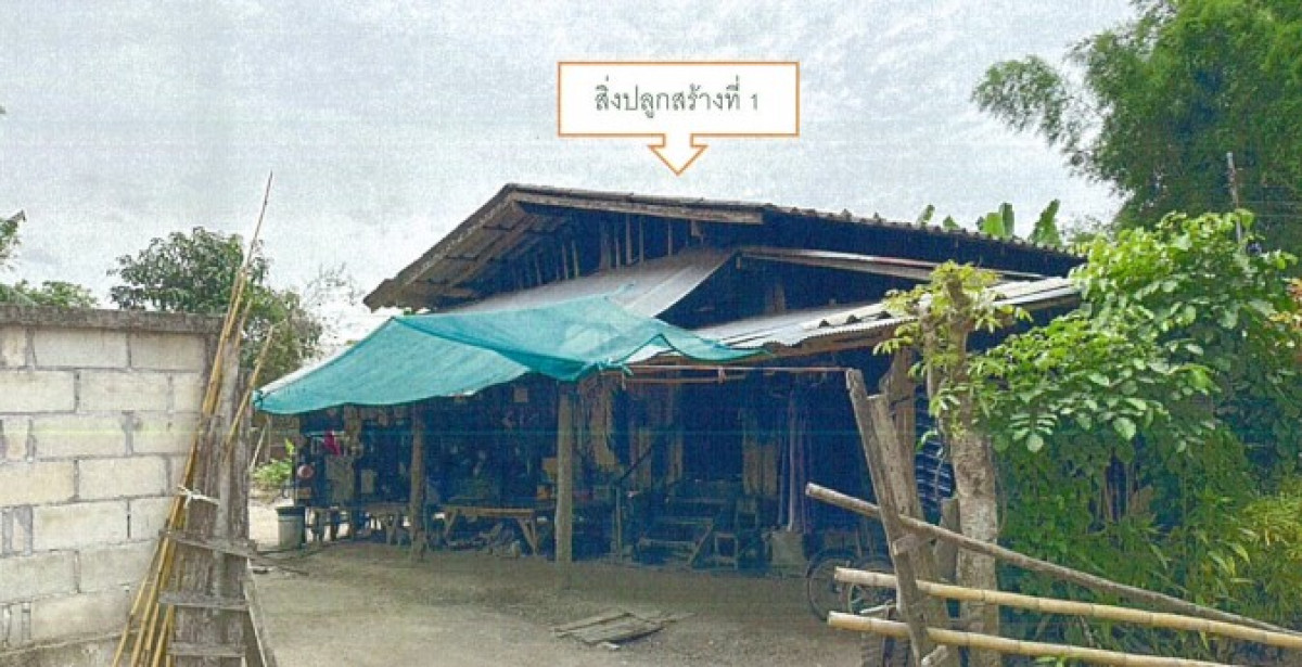Single house Chiang Mai Fang Mae Kha 656220