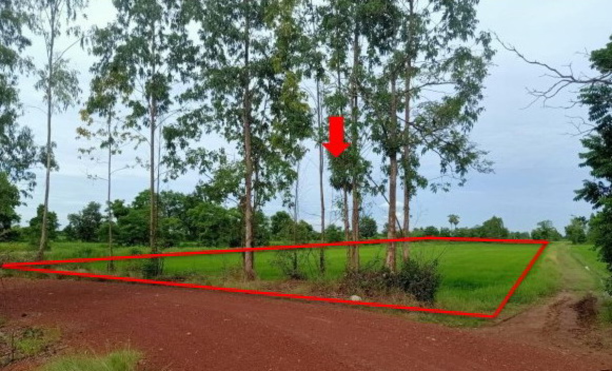 ที่ดินเปล่า กำแพงเพชร ลานกระบือ หนองหลวง 414040
