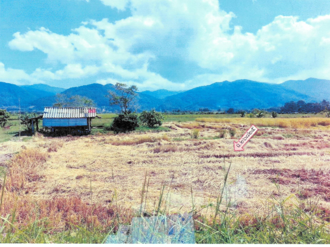 ที่ดินเปล่า เชียงราย ขุนตาล ป่าตาล 632820