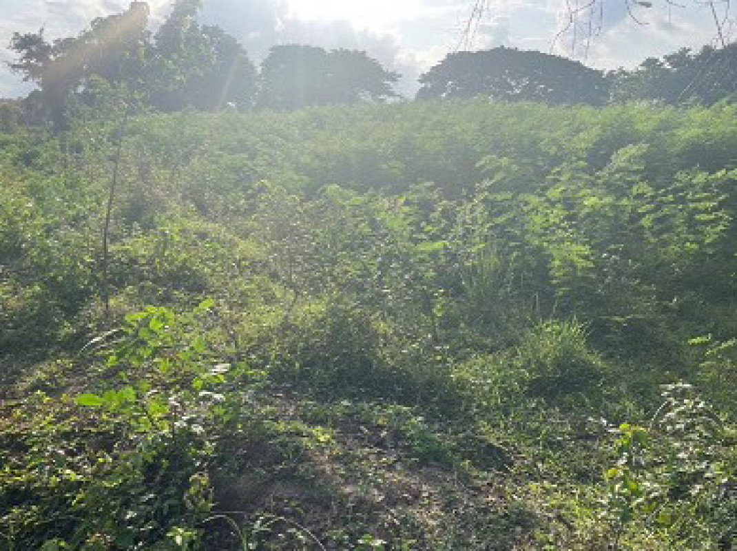 ที่ดินเปล่า อุบลราชธานี เมืองอุบลราชธานี แจระแม 403200