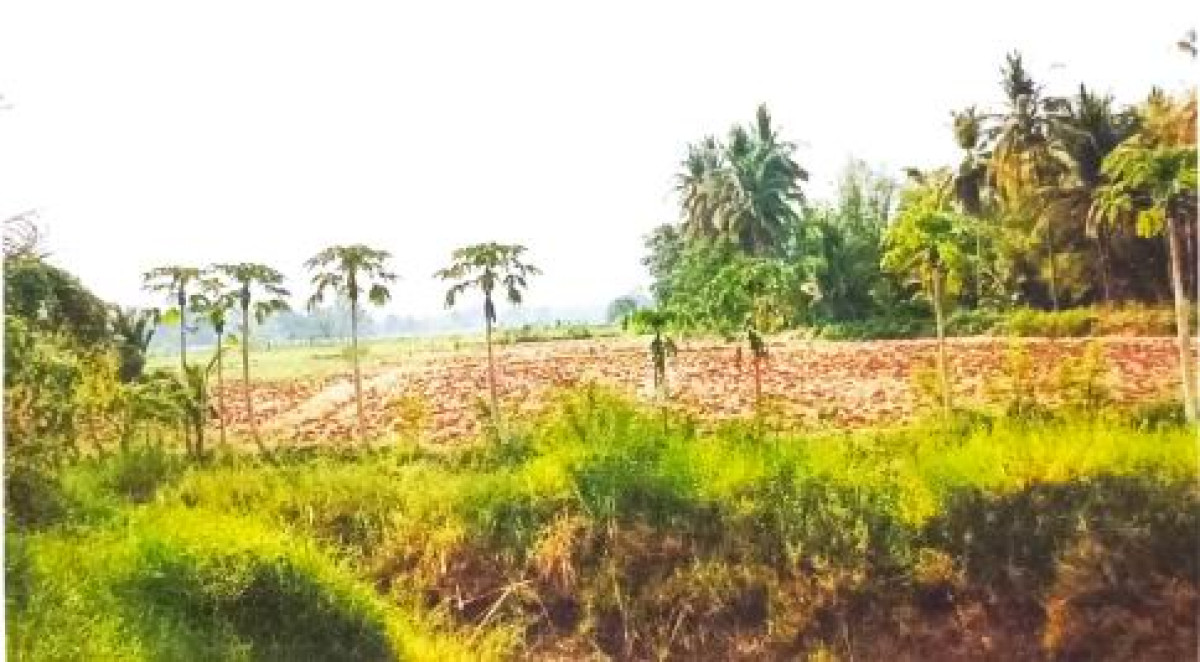 Residential land/lot Phetchabun Mueang Phetchabun Na Yom 564900